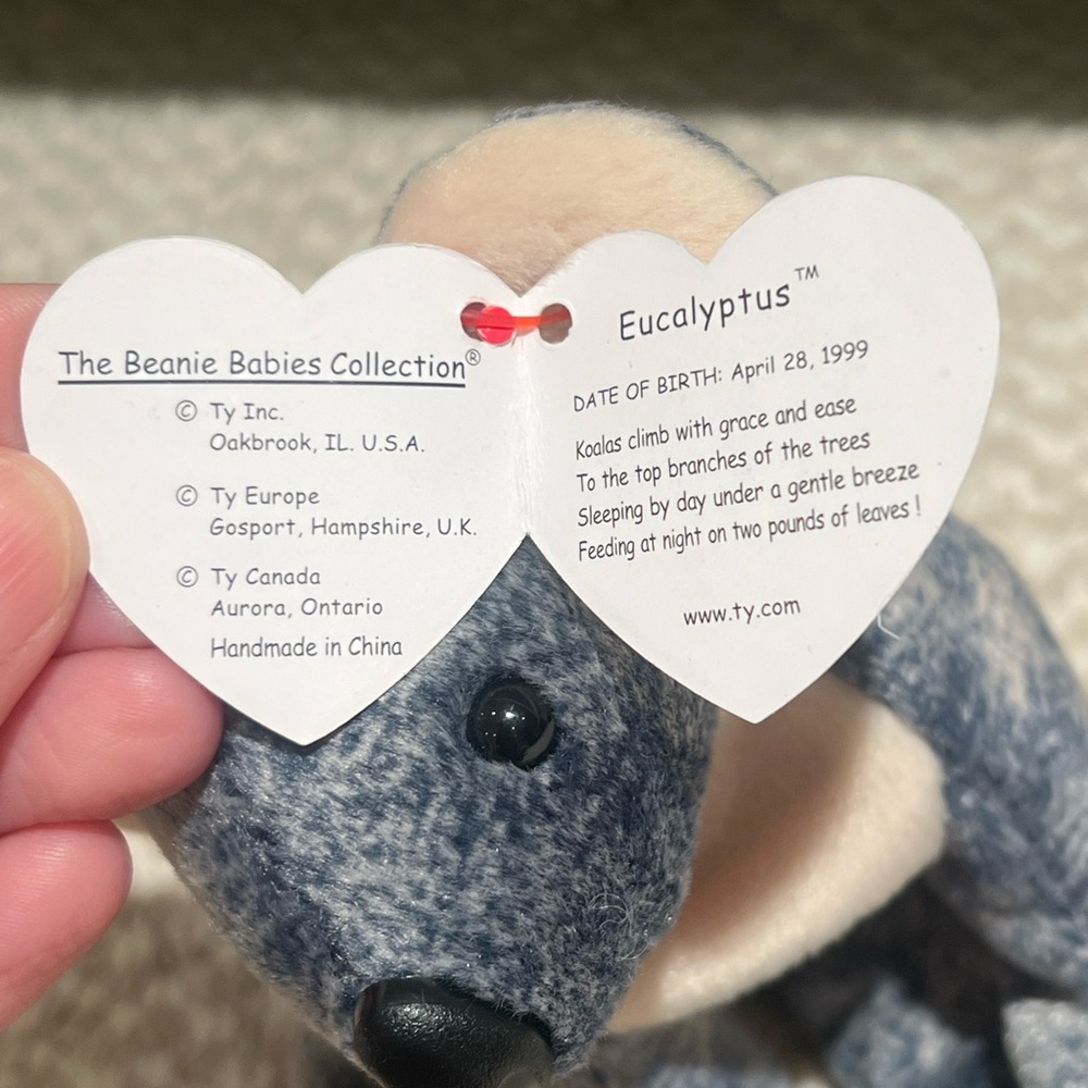 Beanie Baby | Eucalyptus | with Tag | Excellent Condition - Picture 7 of 8